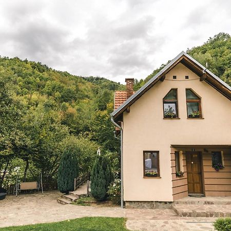 Lodge Zeleni Svet Crni Vrh Εξωτερικό φωτογραφία