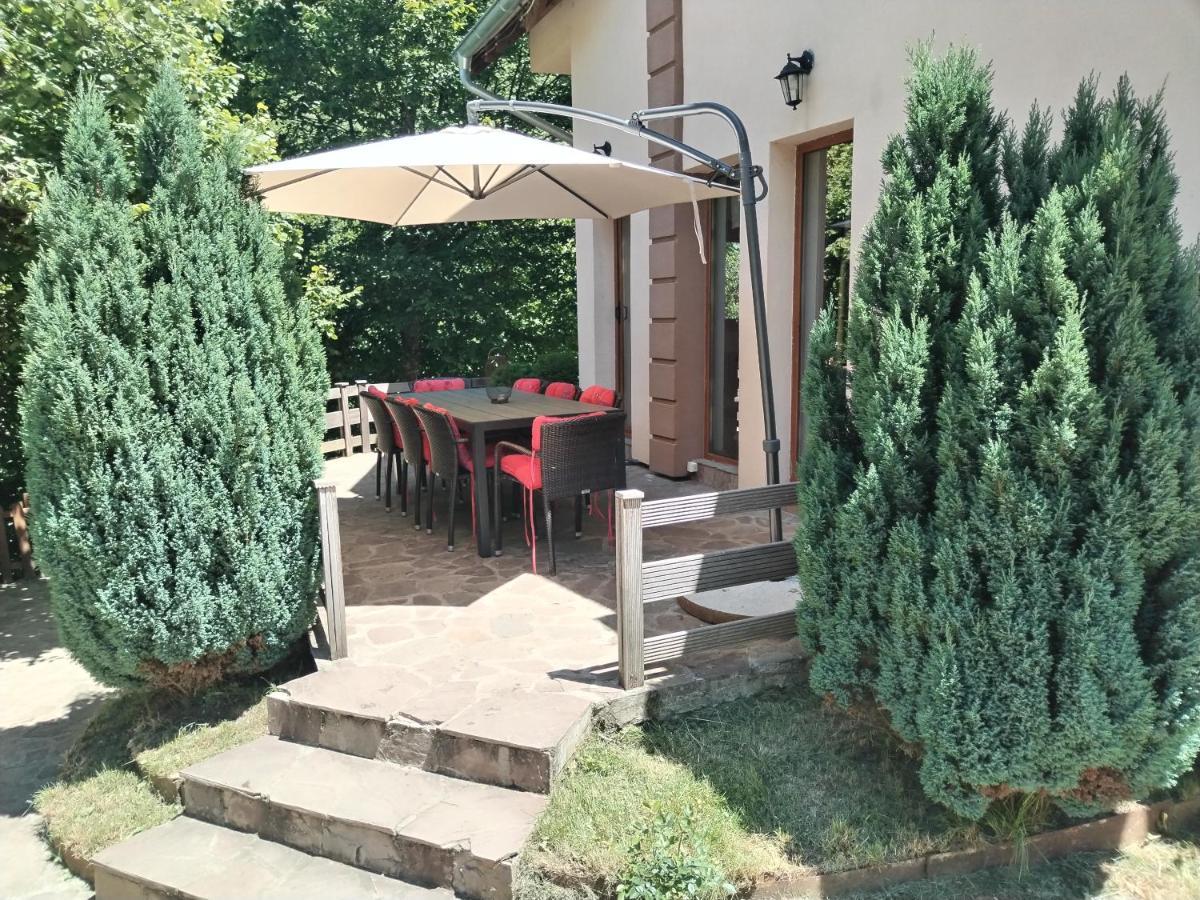 Lodge Zeleni Svet Crni Vrh Εξωτερικό φωτογραφία