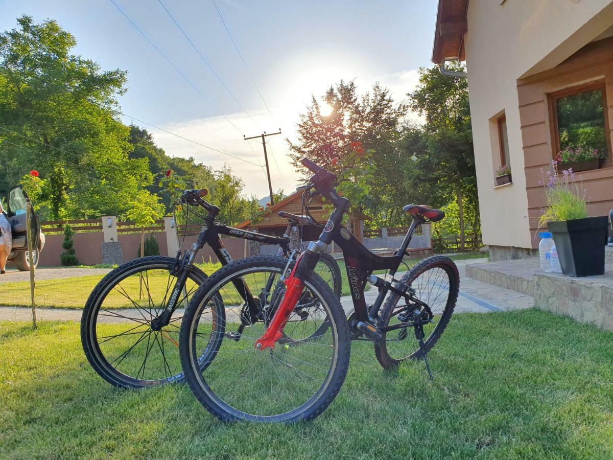 Lodge Zeleni Svet Crni Vrh Εξωτερικό φωτογραφία
