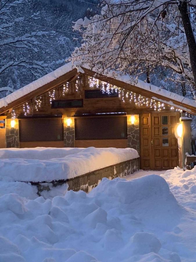 Lodge Zeleni Svet Crni Vrh Εξωτερικό φωτογραφία